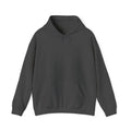 Samurai Warrior Hoodie — Ronin Tanka Graphic Hooded Sweatshirt